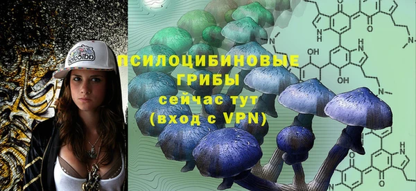 PSILOCYBIN Богданович