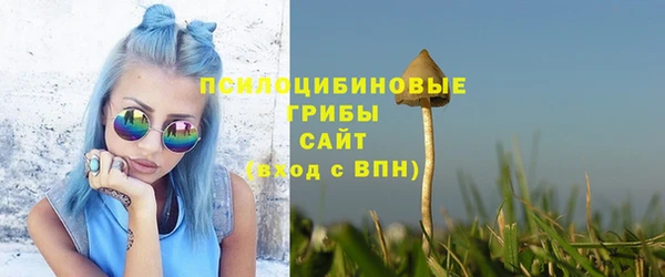 прущие грибы Богородск