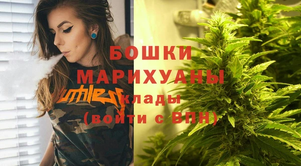 прущие грибы Богородск
