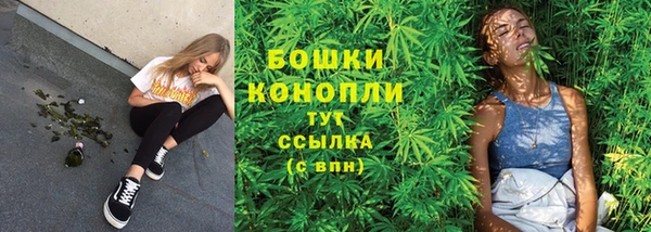 мескалин Богородицк