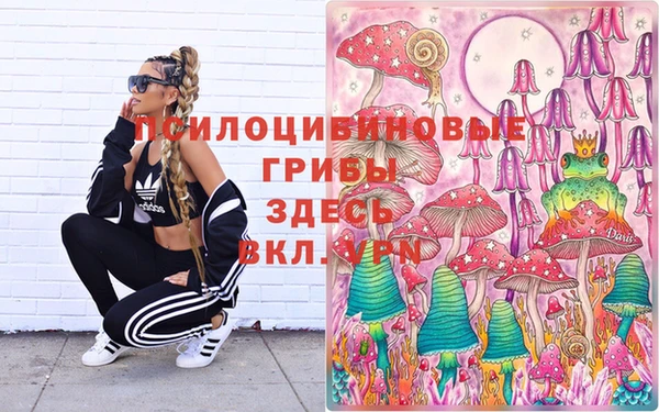 PSILOCYBIN Богданович