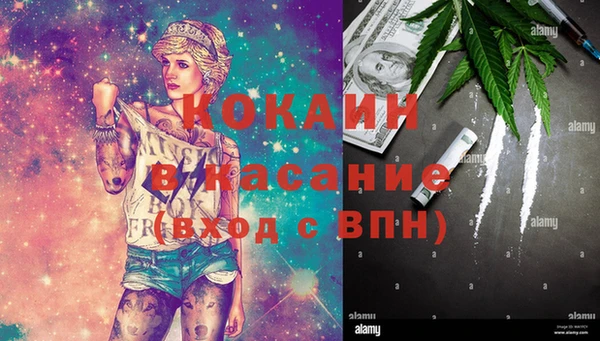 прущие грибы Богородск