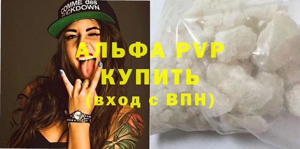 PSILOCYBIN Богданович