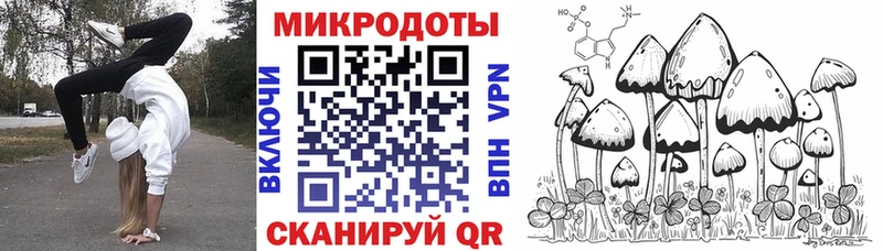 закладки  Пятигорск  Псилоцибиновые грибы прущие грибы 